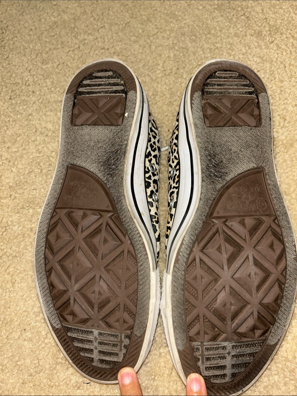 Leopard-Print Converse - Picture 5 of 7